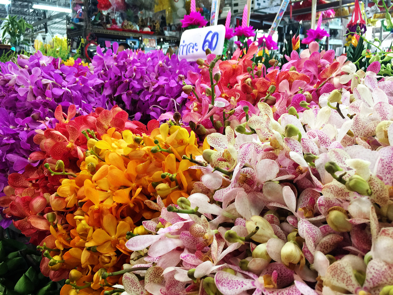 Mark's Flowers.jpg