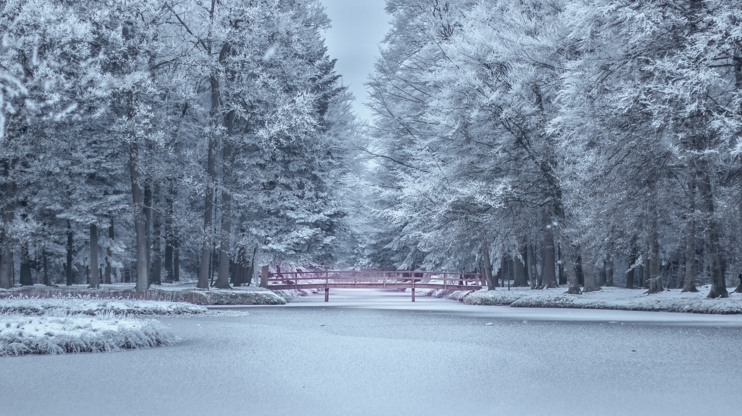 Winter.jpg