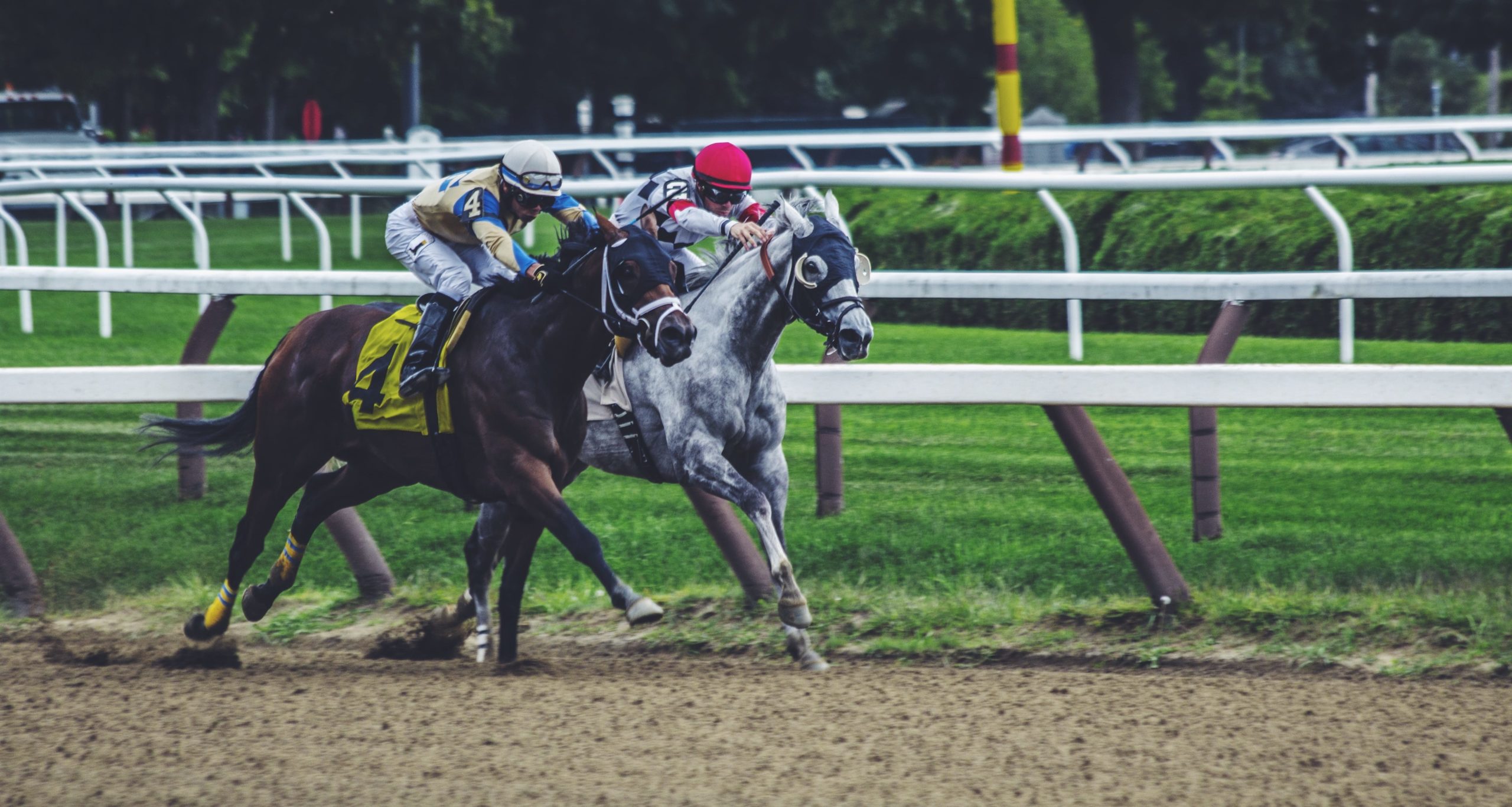 horserace.jpg